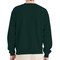 Hanes EcoSmart Unisex Crewneck Sweatshirt P160 Cotton-Poly Blend Fleece for Crafts